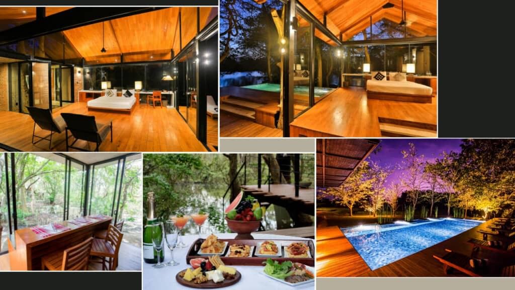 Collage of luxury cabin interiors and amenities in Sri Lanka Hotels: cozy bedrooms with large glass windows, an illuminated outdoor pool area at night, a dining table set with a meal, and a sunny forest view dining area.